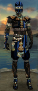 Ritualist Elite-Luxon-Rüstung Männlich vorne.jpg