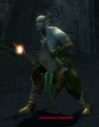 Wahnsinniger Erdaufseher.jpg