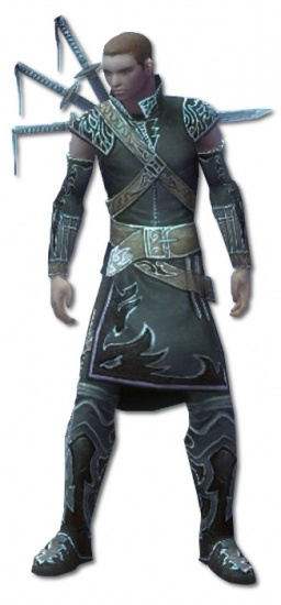 Anton Bruderschafts-Rüstung vorne.jpg