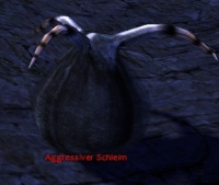 Aggressiver Schleim.jpg