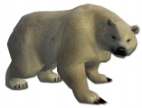 Eisbär
