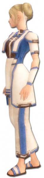 Datei:Mönch Geweihte-Rüstung Weiblich seite.jpg