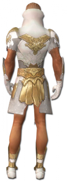 Datei:Paragon Elona-Rüstung Männlich hinten.jpg