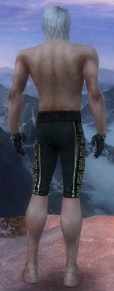 Datei:Mesmer Elite-Cantha-Rüstung Männlich hand bein hinten.jpg