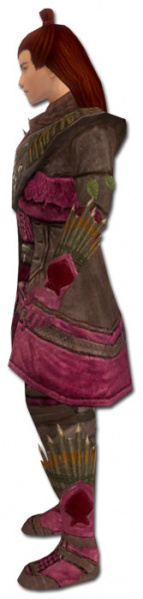 Datei:Waldläufer Elite-Druiden-Rüstung Männlich seite.jpg