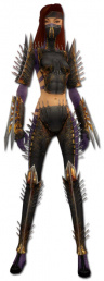 Assassine Exoten-Rüstung Weiblich vorne.jpg