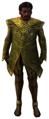 Norgu Rätselhafte Rüstung vorne.jpg
