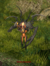 Zerstörer der Gedanken.jpg