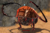 Hajok Erdwächter (Elementarmagier).jpg