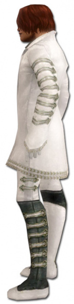 Datei:Mesmer Elite-Zauberkundigen-Rüstung Männlich seite.jpg