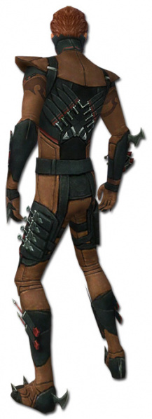 Datei:Assassine Seitung-Rüstung Männlich hinten.jpg