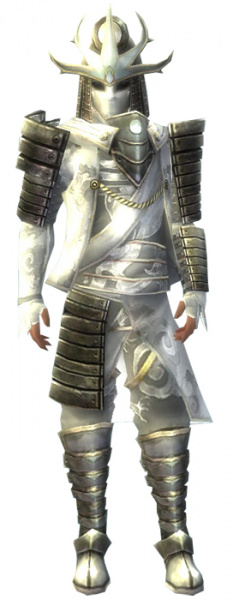 Datei:Aegis der Einheit-Kostüm männlich vorne.jpg