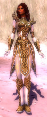 Hayda Deldrimor-Rüstung vorne.jpg