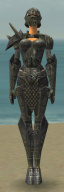 Krieger Elite-Plattenpanzer-Rüstung Weiblich vorne.jpg