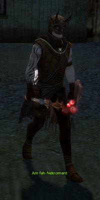 Am Fah-Nekromant.jpg