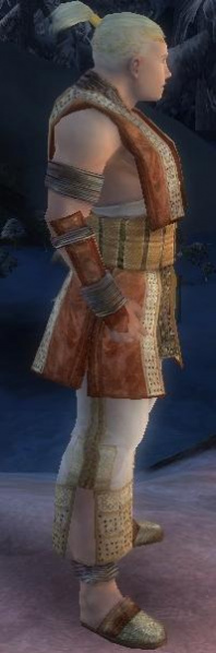 Datei:Mönch Vaabi-Rüstung Männlich seite.jpg