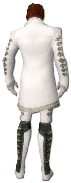 Datei:Mesmer Elite-Zauberkundigen-Rüstung Männlich hinten.jpg