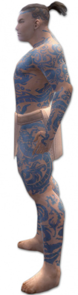 Datei:Mönch Drachen-Rüstung Männlich seite.jpg