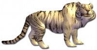 Weißer Tiger