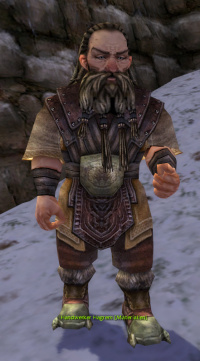 Handwerker Hagrem.jpg