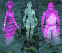 Wahnsinnige Seele.jpg