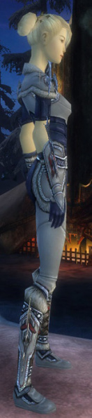 Datei:Assassine Norn-Rüstung Weiblich seite.jpg