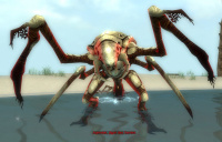 Ajamduk, Jäger des Sandes.jpg