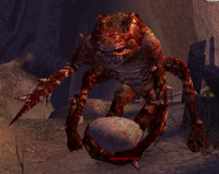 Angesengte Eiche.jpg