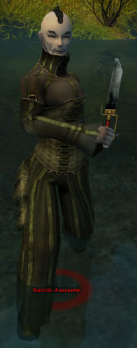 Kurzick-Assassine.jpg