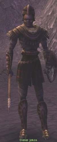 Diener Jokos (Paragon).jpg