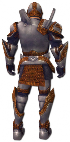 Datei:Krieger Plattenpanzerrüstung Männlich hinten.jpg