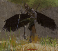 Älterer Skree-Sänger.jpg