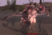 Lonolun Wasserläufer.jpg