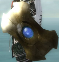 Sonnenstrebers Schild.jpg