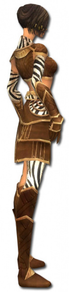 Datei:Akolythin Jin Altehrwürdige Rüstung rechts.jpg