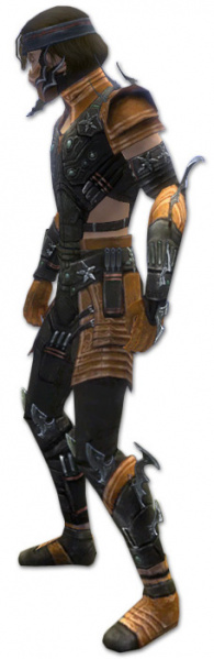 Datei:Assassine Elite-Luxon-Rüstung Männlich seite.jpg