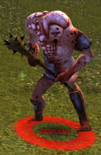 Befallener Krieger.jpg
