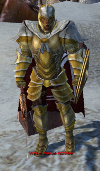 Weißer Mantel-Techniker.jpg