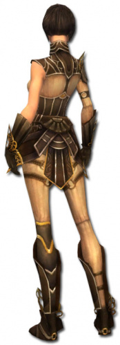 Akolythin Jin Elite-Sonnenspeer-Rüstung hinten.jpg