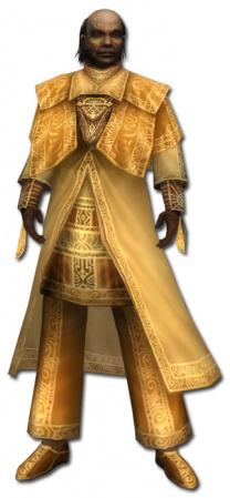 Dunkoro Altehrwürdige Rüstung vorne.jpg