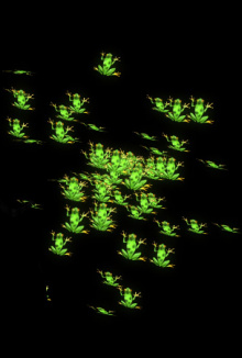 Abschied von Gaile Gray-Partyknaller.jpg