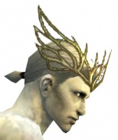 Dwaynas Diadem männlich rechts.jpg