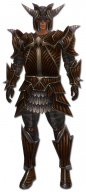 Krieger Wyvernrüstung Männlich vorne.jpg