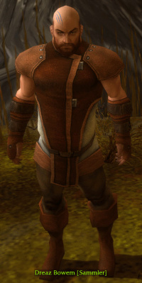 Dreaz Bowem.jpg