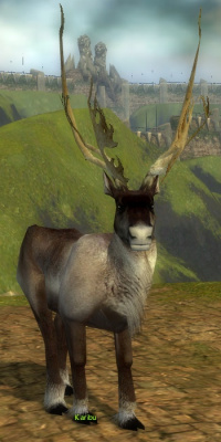 Karibu (Sammler).jpg