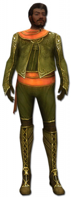 Norgu Schauspieler-Rüstung vorne.jpg