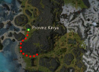 Doppelschlag Karte.jpg