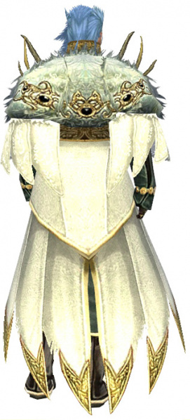 Datei:Dwaynas Ornat männlich hinten.jpg