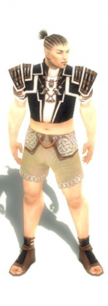 Datei:Mönch Elite-Richter-Rüstung Männlich brust schuh vorne.jpg