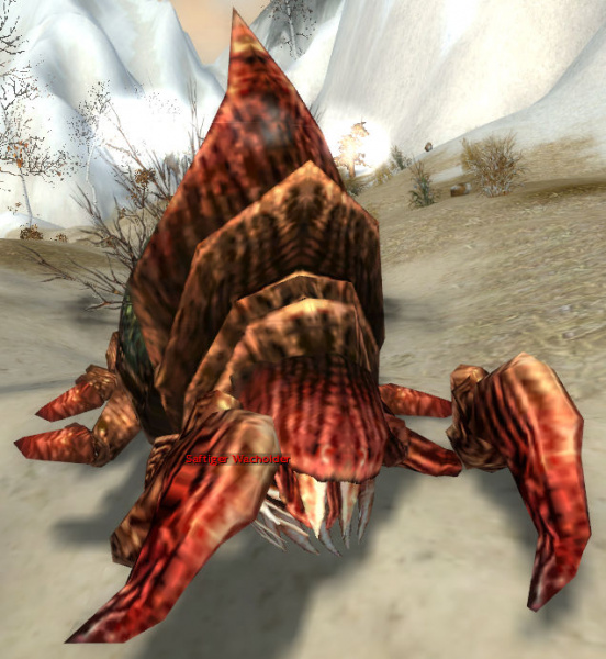 Datei:Saftiger Wacholder.jpg